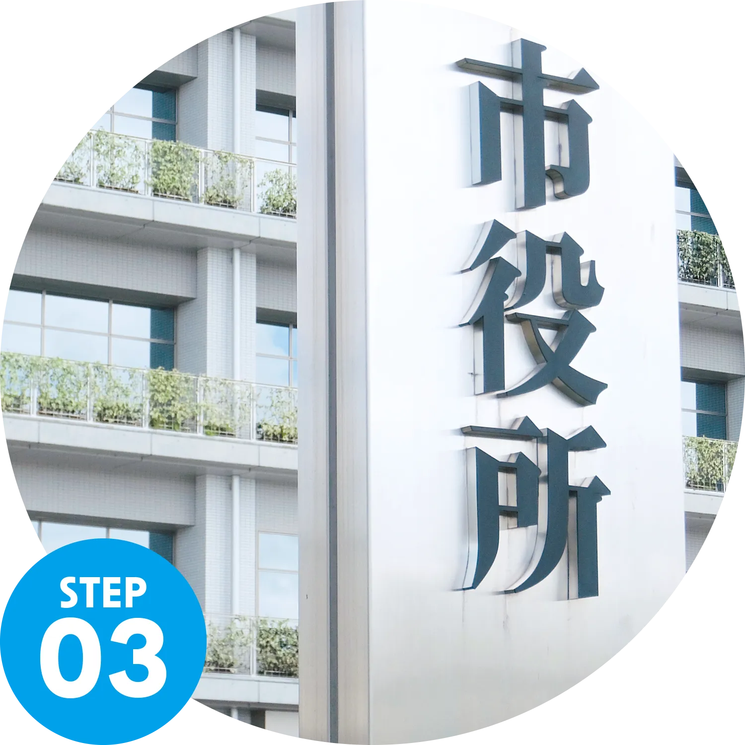 STEP03