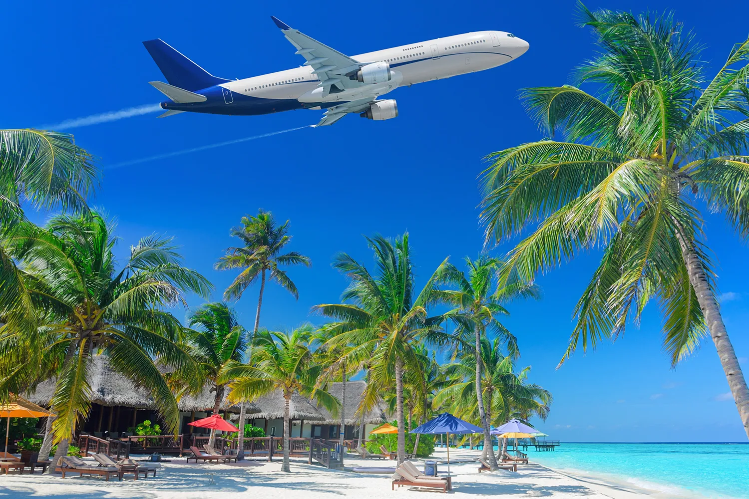 南国リゾートと飛行機の写真